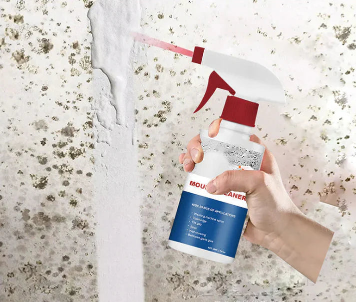 MögelBorta | Sprayen som tar bort mögel på sekunder