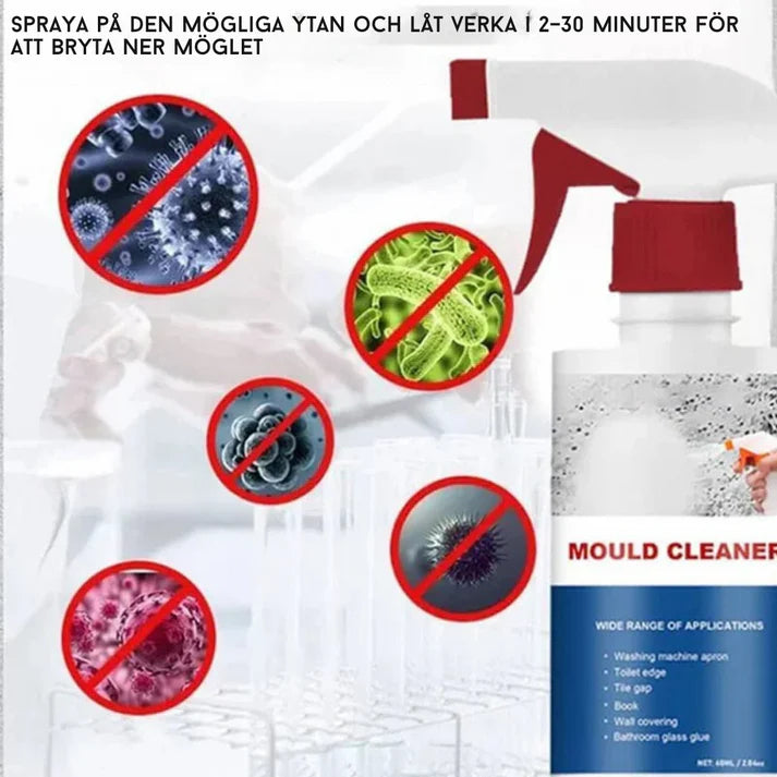 MögelBorta | Sprayen som tar bort mögel på sekunder