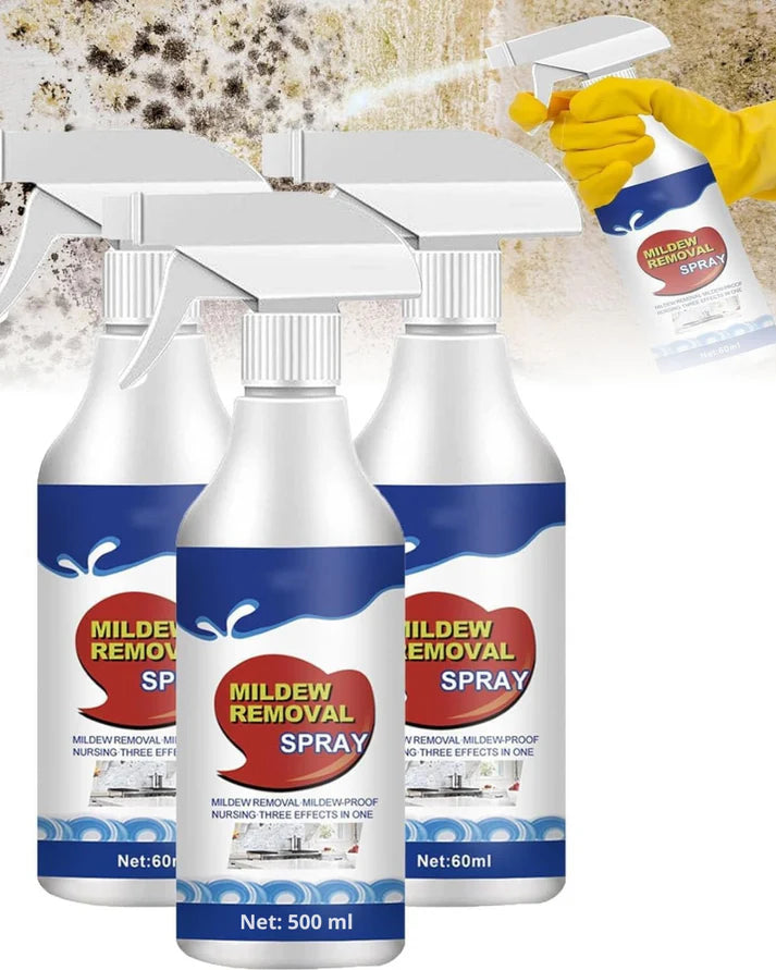 MögelBorta | Sprayen som tar bort mögel på sekunder